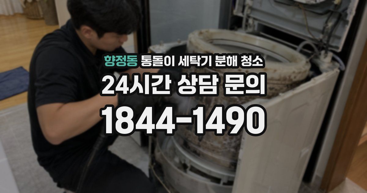 향정동 통돌이 세탁기 분해 청소
