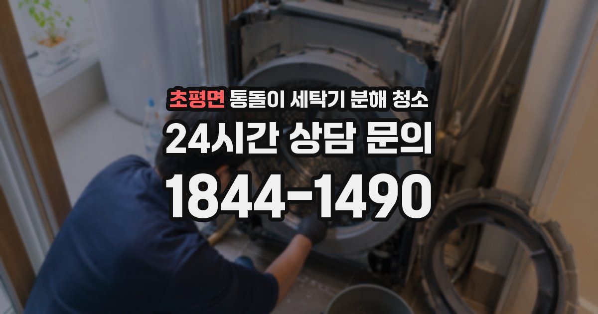 초평면 통돌이 세탁기 분해 청소