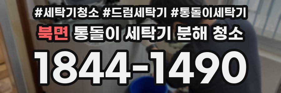 북면 통돌이 세탁기 분해 청소