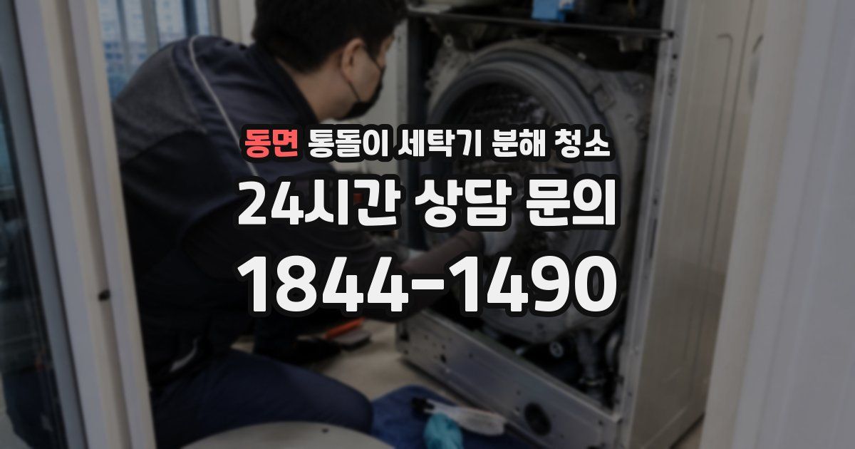 동면 통돌이 세탁기 분해 청소