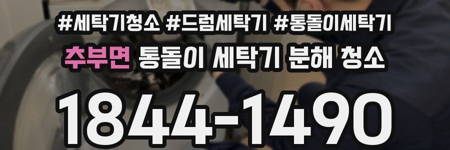 추부면 통돌이 세탁기 분해 청소