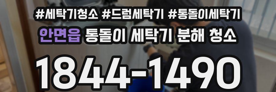 안면읍 통돌이 세탁기 분해 청소