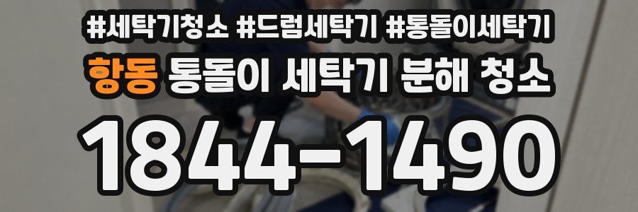 항동 통돌이 세탁기 분해 청소