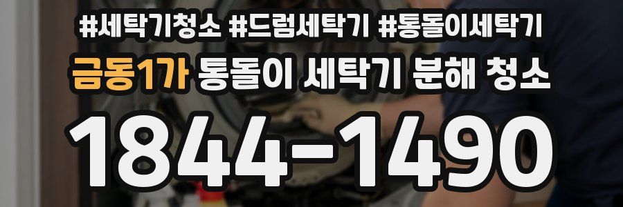 금동1가 통돌이 세탁기 분해 청소