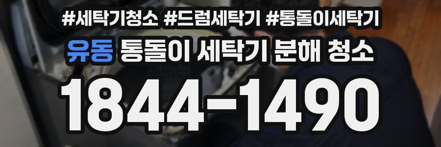 유동 통돌이 세탁기 분해 청소