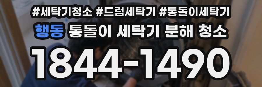 행동 통돌이 세탁기 분해 청소