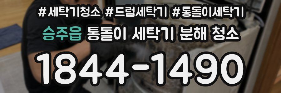 승주읍 통돌이 세탁기 분해 청소