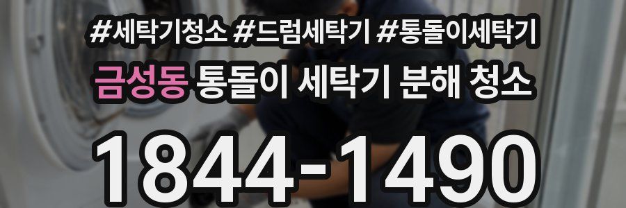 금성동 통돌이 세탁기 분해 청소