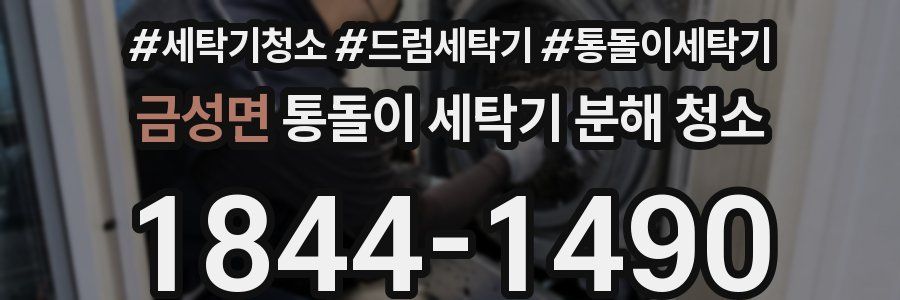 금성면 통돌이 세탁기 분해 청소