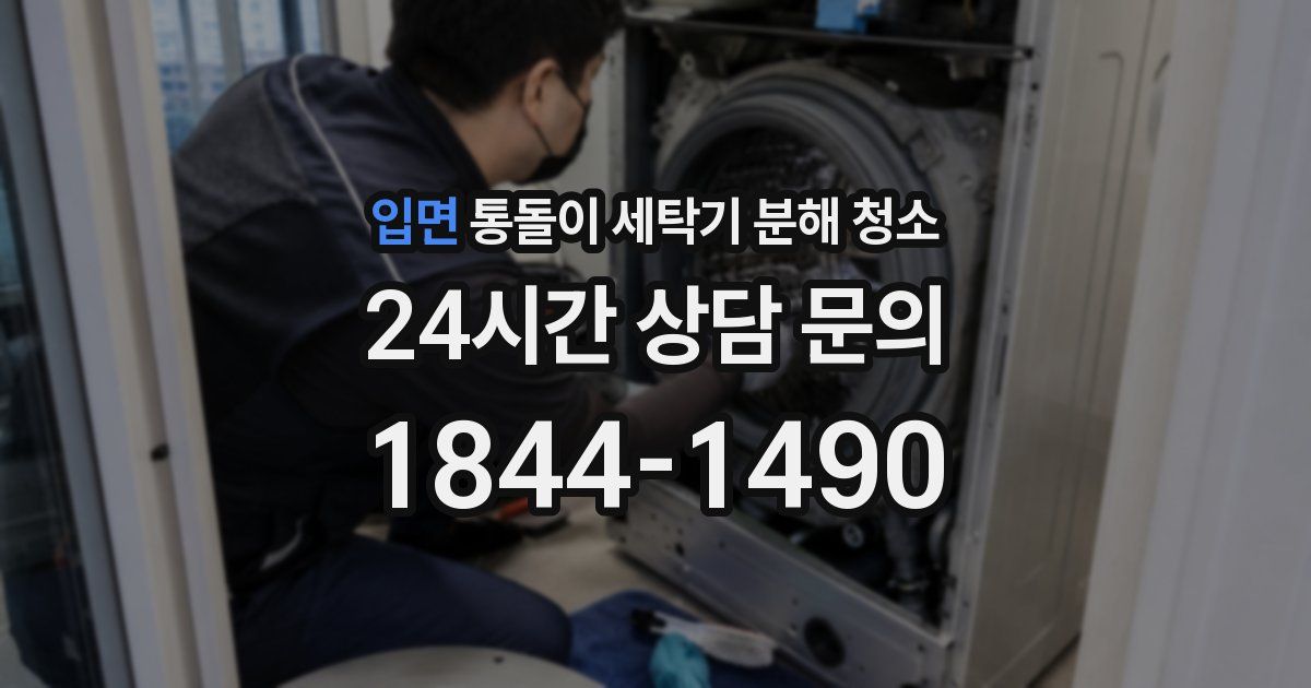 입면 통돌이 세탁기 분해 청소