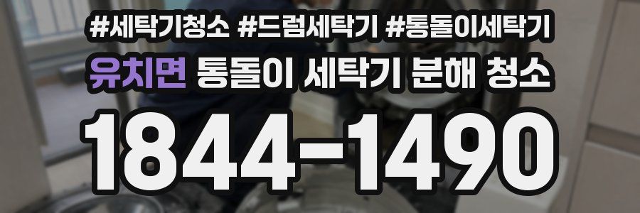 유치면 통돌이 세탁기 분해 청소