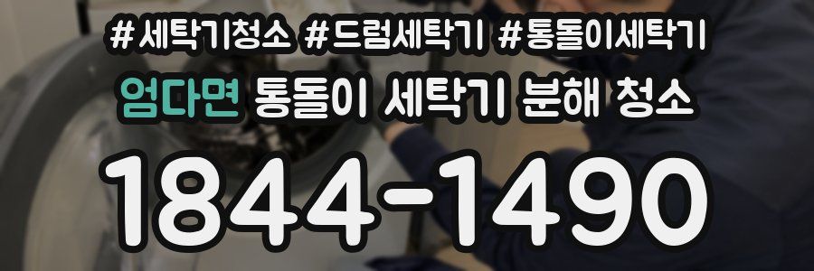 엄다면 통돌이 세탁기 분해 청소