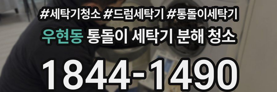 우현동 통돌이 세탁기 분해 청소