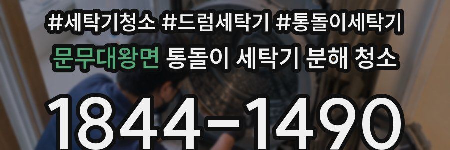 문무대왕면 통돌이 세탁기 분해 청소