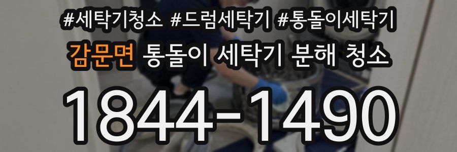 감문면 통돌이 세탁기 분해 청소