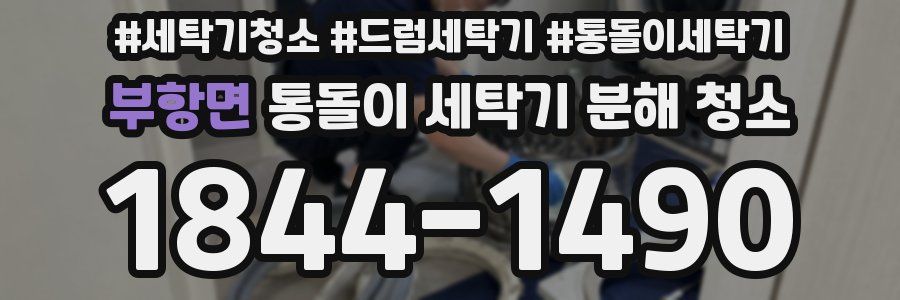 부항면 통돌이 세탁기 분해 청소