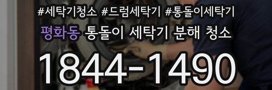 평화동 통돌이 세탁기 분해 청소