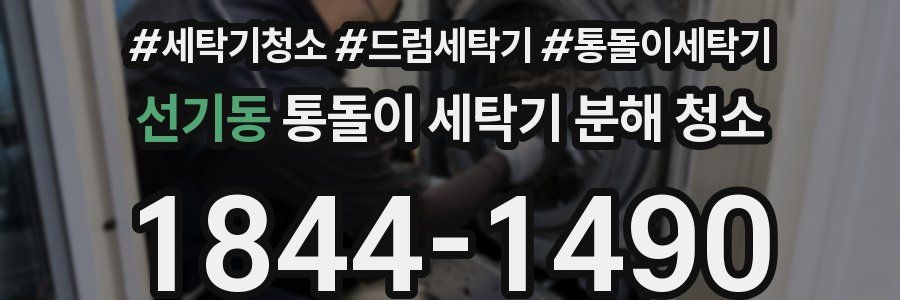 선기동 통돌이 세탁기 분해 청소