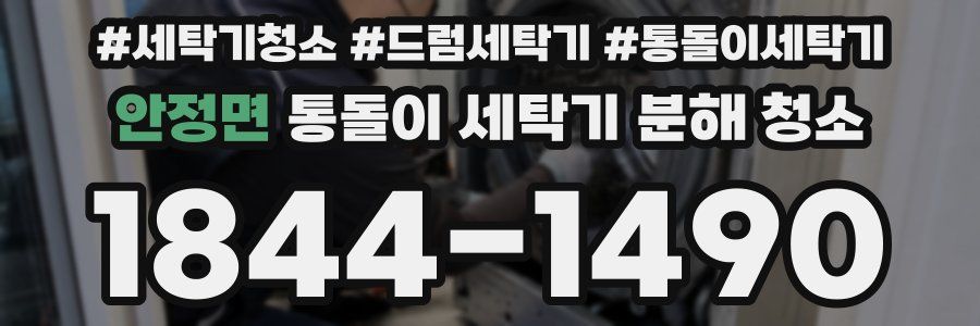 안정면 통돌이 세탁기 분해 청소