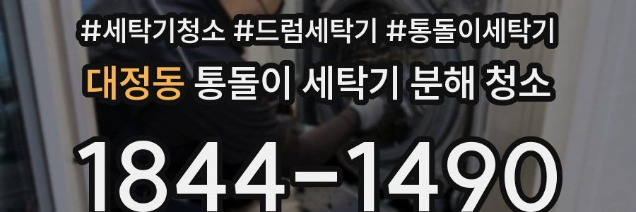대정동 통돌이 세탁기 분해 청소