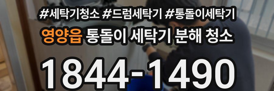 영양읍 통돌이 세탁기 분해 청소