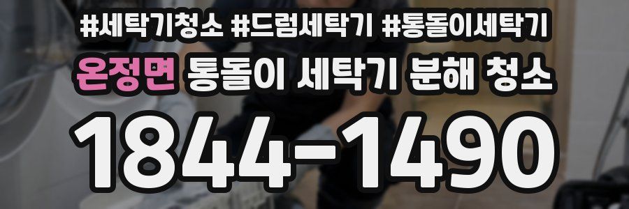 온정면 통돌이 세탁기 분해 청소