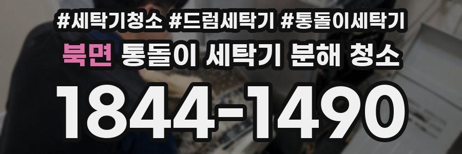 북면 통돌이 세탁기 분해 청소
