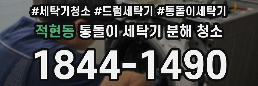 적현동 통돌이 세탁기 분해 청소
