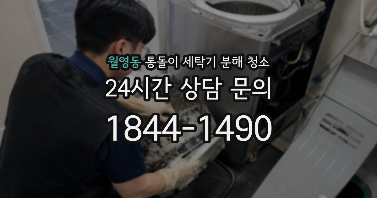 월영동 통돌이 세탁기 분해 청소