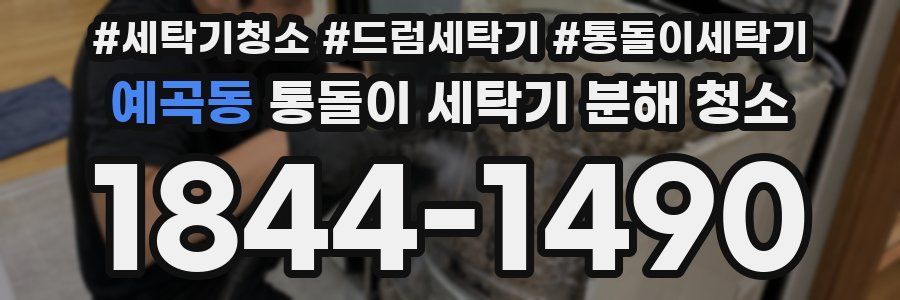 예곡동 통돌이 세탁기 분해 청소