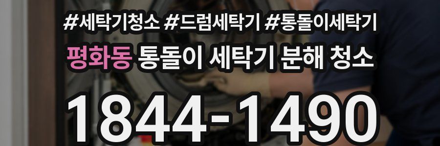 평화동 통돌이 세탁기 분해 청소