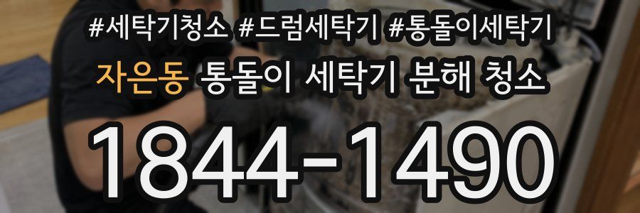자은동 통돌이 세탁기 분해 청소