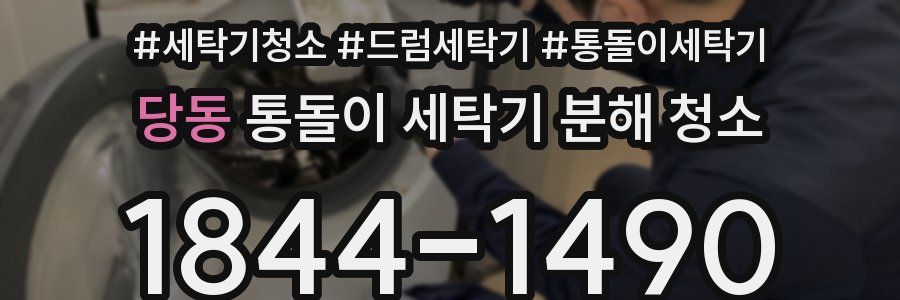 당동 통돌이 세탁기 분해 청소
