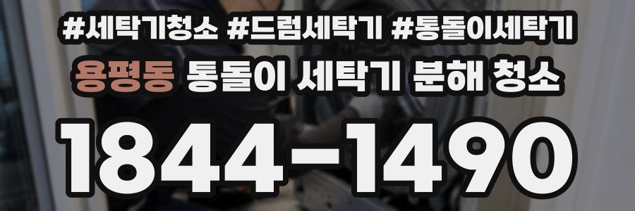 용평동 통돌이 세탁기 분해 청소