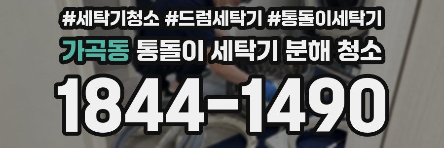 가곡동 통돌이 세탁기 분해 청소
