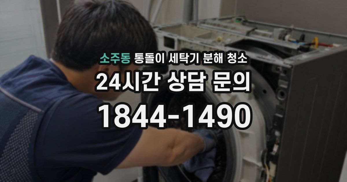 소주동 통돌이 세탁기 분해 청소