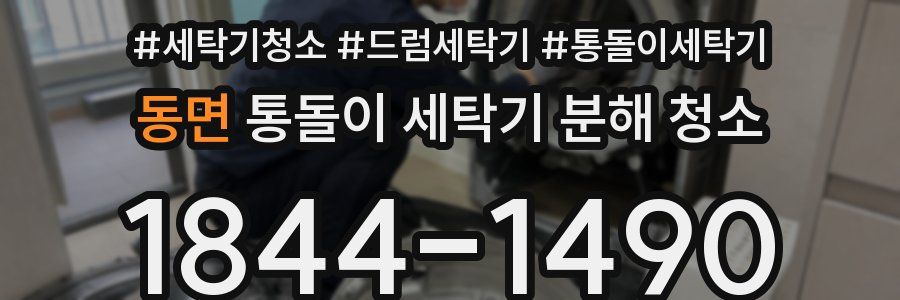 동면 통돌이 세탁기 분해 청소