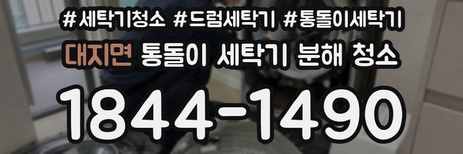 대지면 통돌이 세탁기 분해 청소