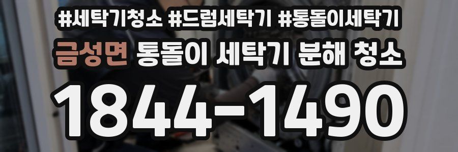 금성면 통돌이 세탁기 분해 청소