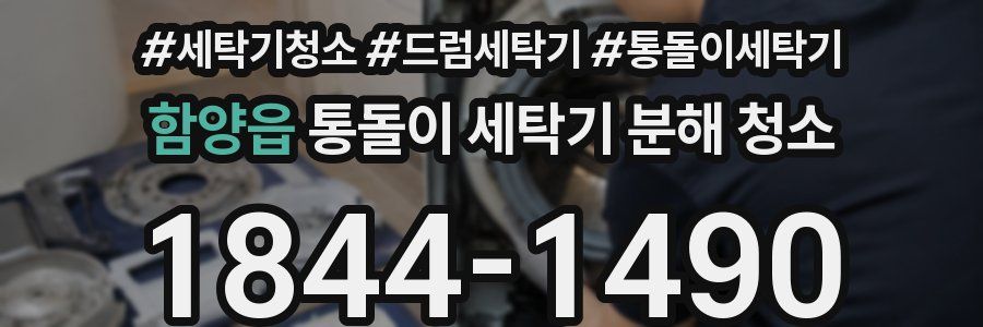 함양읍 통돌이 세탁기 분해 청소