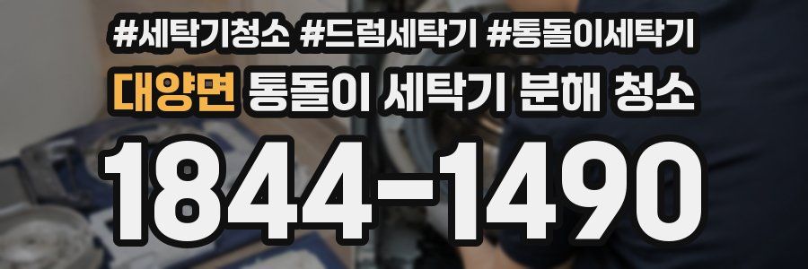 대양면 통돌이 세탁기 분해 청소