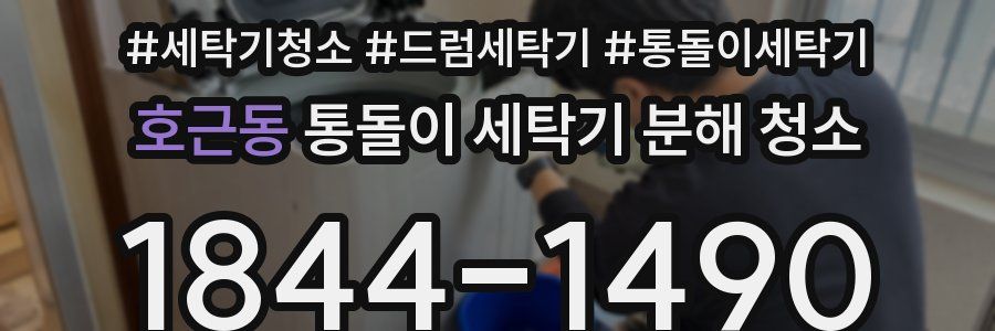 호근동 통돌이 세탁기 분해 청소