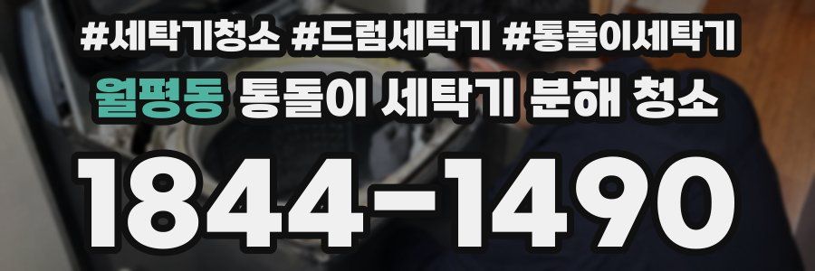 월평동 통돌이 세탁기 분해 청소
