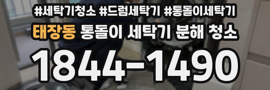 태장동 통돌이 세탁기 분해 청소