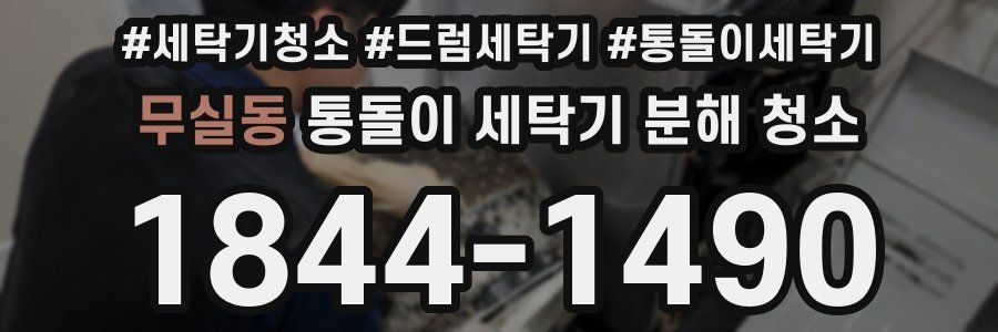 무실동 통돌이 세탁기 분해 청소