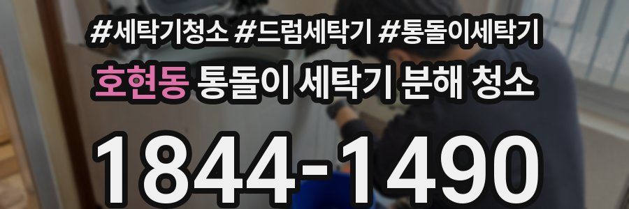 호현동 통돌이 세탁기 분해 청소