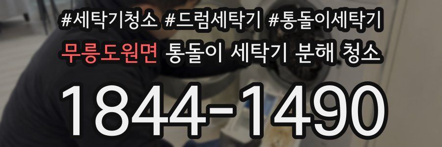 무릉도원면 통돌이 세탁기 분해 청소