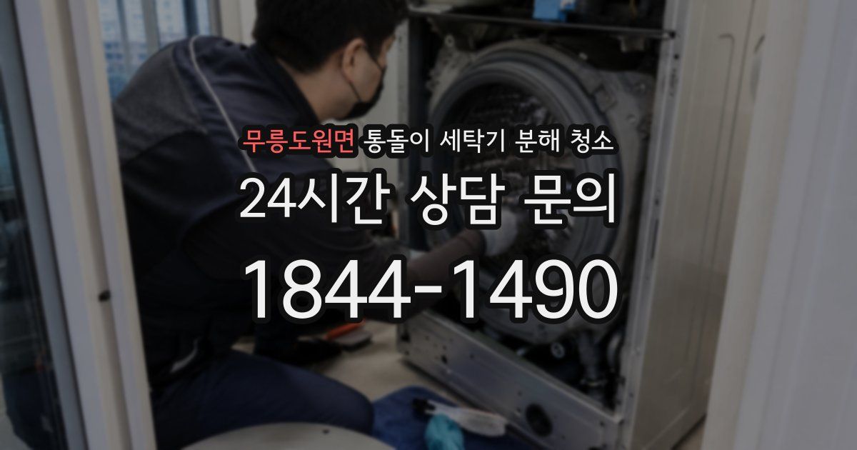 무릉도원면 통돌이 세탁기 분해 청소