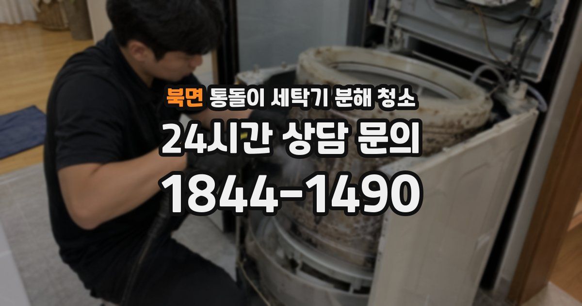 북면 통돌이 세탁기 분해 청소