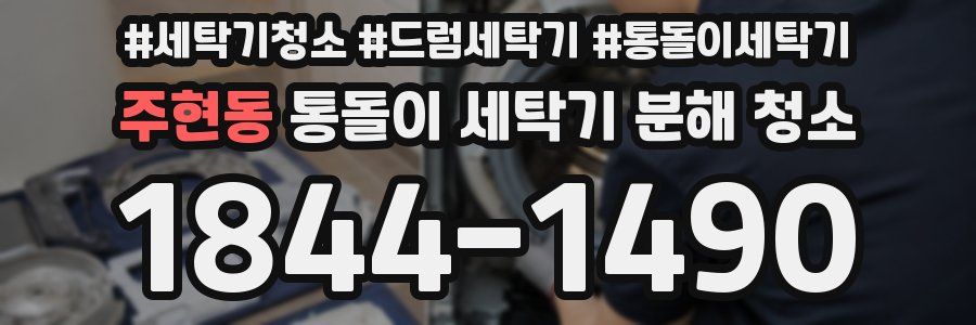 주현동 통돌이 세탁기 분해 청소